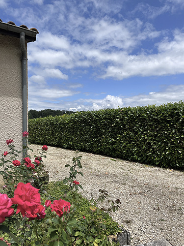 tuinonderhoud-lot-garonne-frankrijk